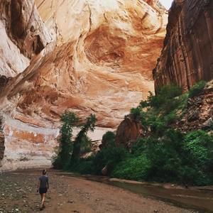 Meet your Posher, Heidi